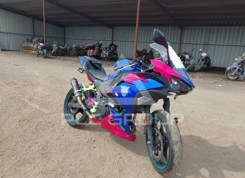 2024 Kawasaki EX500 фото