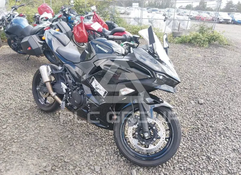 2024 Kawasaki EX500 photo