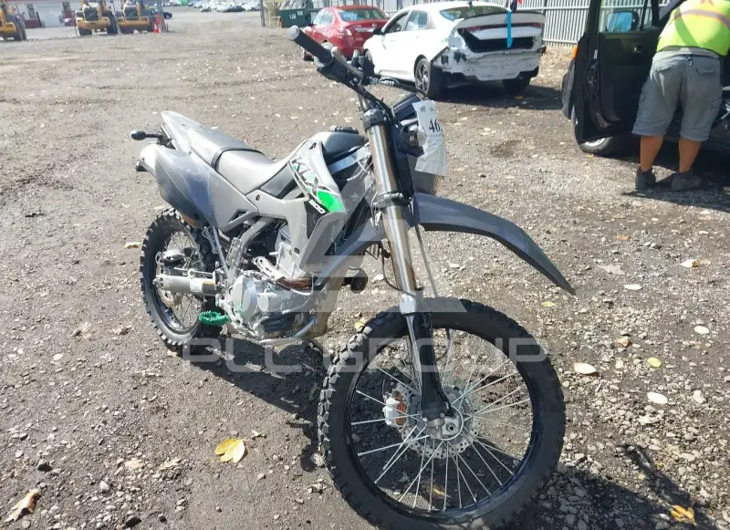 2024 Kawasaki KLX300 photo