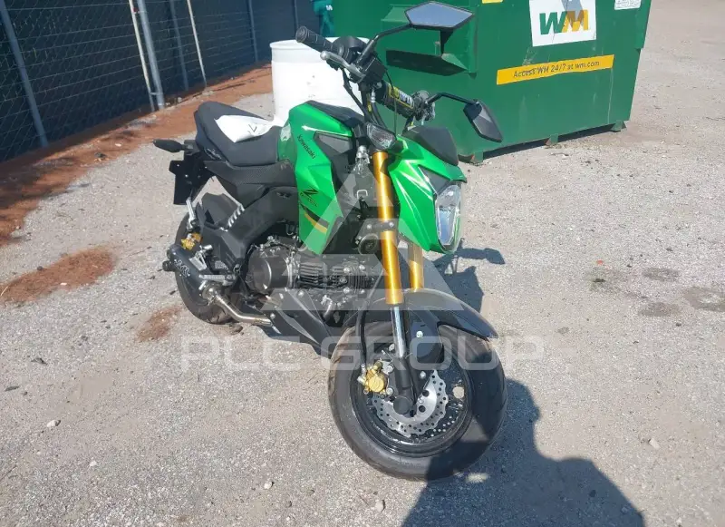 2024 Kawasaki BR125 фото