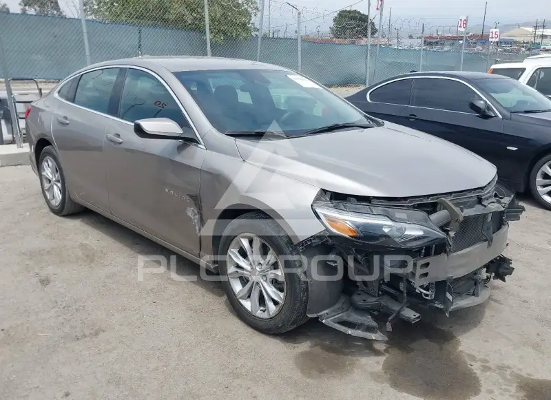 2024 Chevrolet Malibu photo