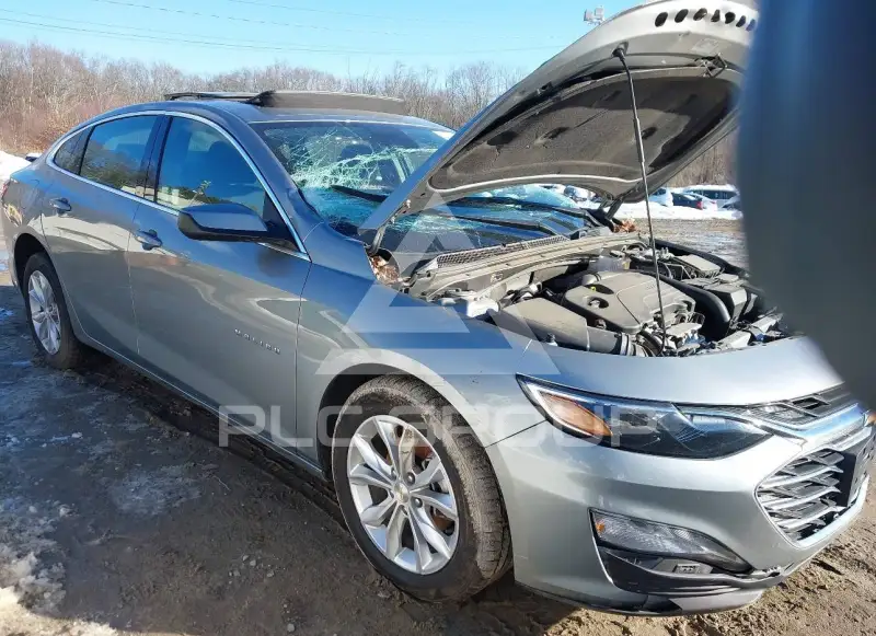 2024 Chevrolet Malibu photo