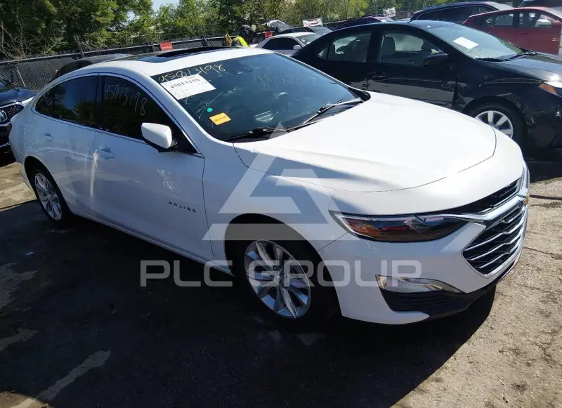 2024 Chevrolet Malibu photo