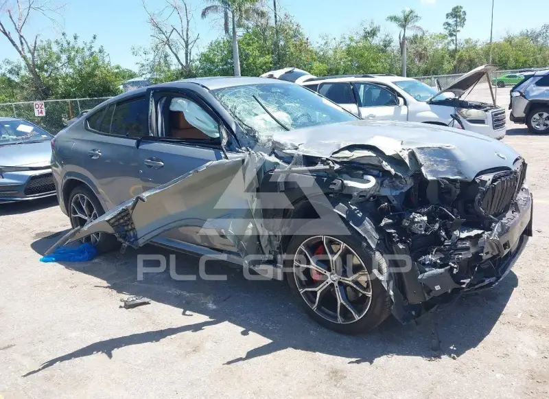 2024 BMW X6 photo