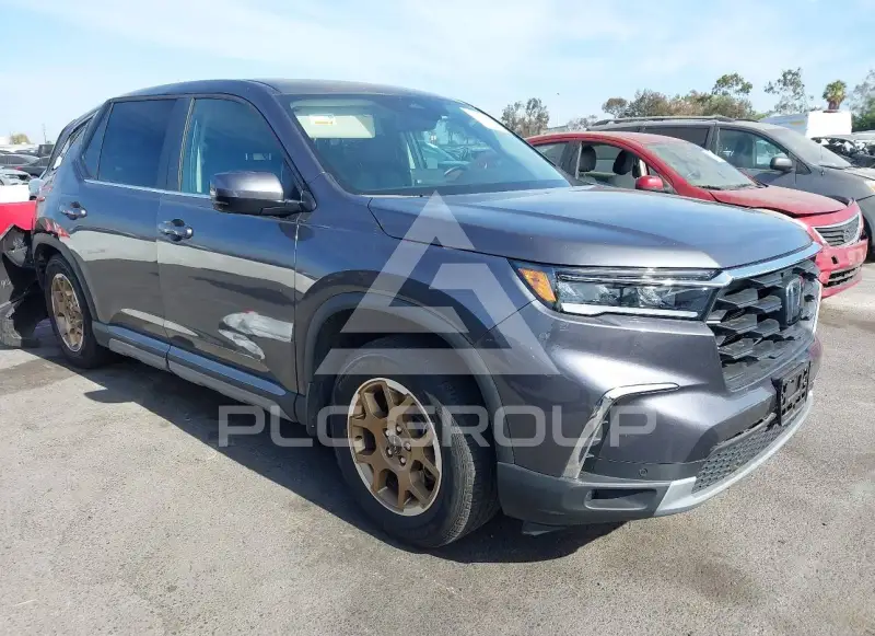 2024 Honda PILOT фото