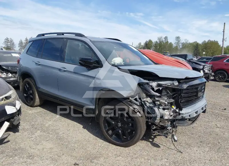 2024 Honda PASSPORT photo