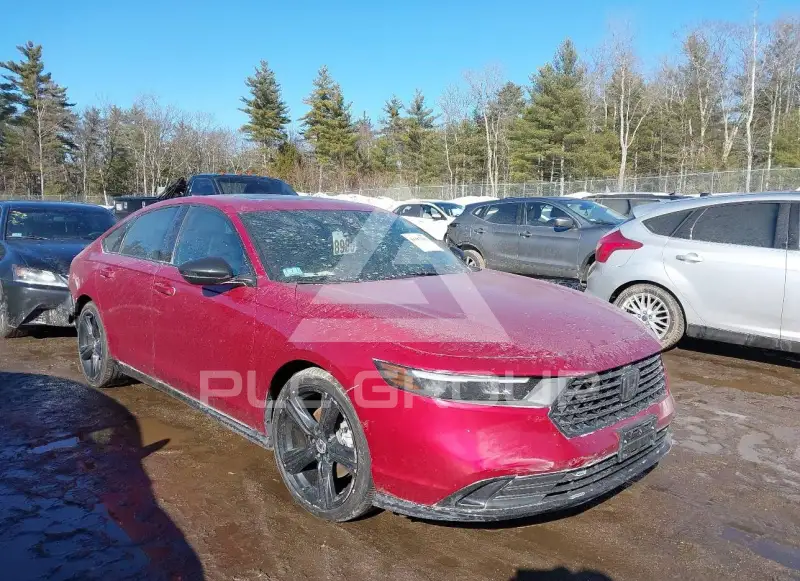 2024 Honda Accord photo