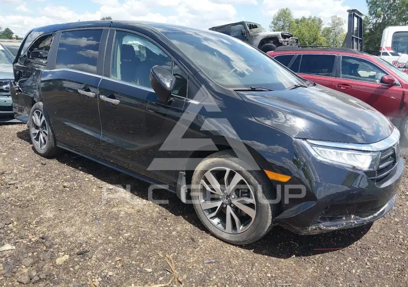 2024 Honda ODYSSEY фото