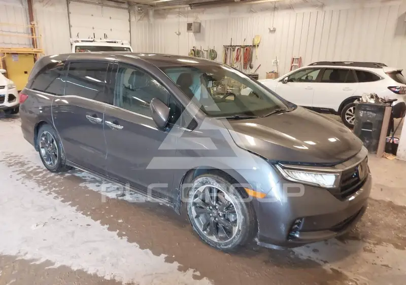 2024 Honda ODYSSEY фото
