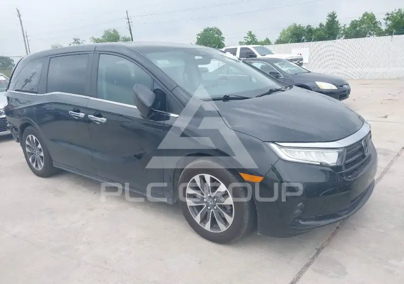 2024 Honda ODYSSEY photo