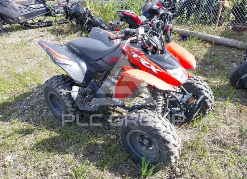 2024 Honda TRX250 photo
