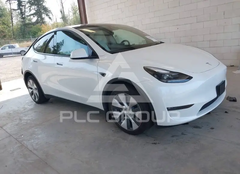 2024 Tesla Model Y фото