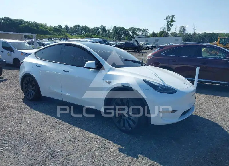 2024 Tesla Model Y photo