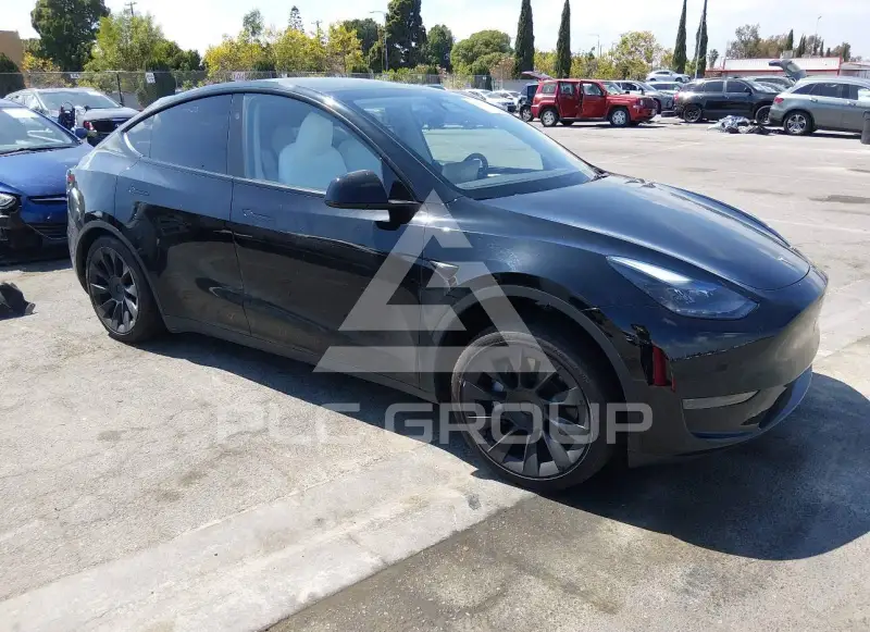 2024 Tesla Model Y photo