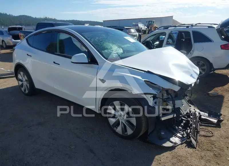 2024 Tesla Model Y фото