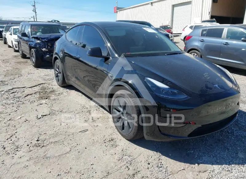 2024 Tesla Model Y photo