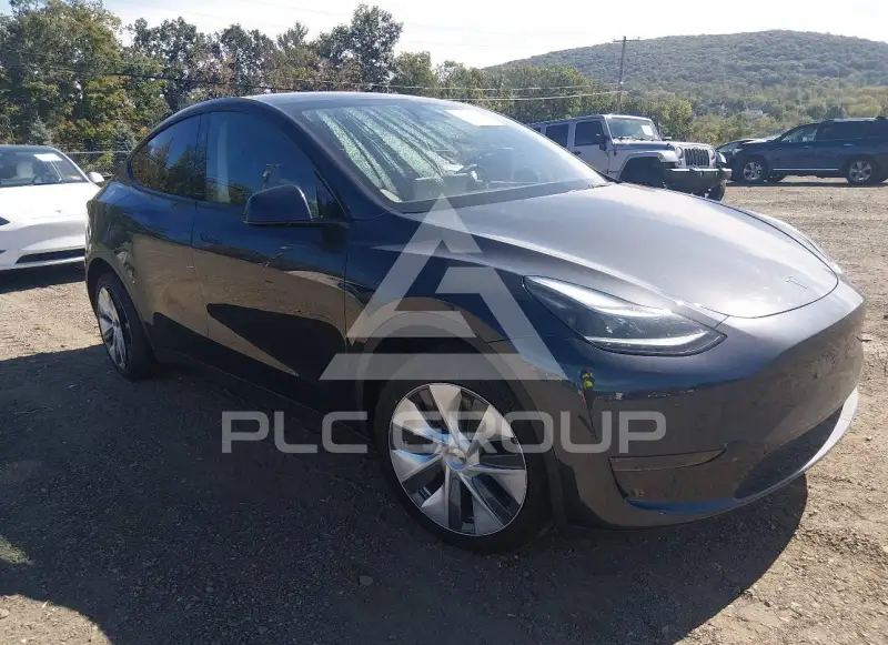 2024 Tesla Model Y фото