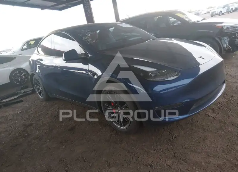 2024 Tesla Model Y фото