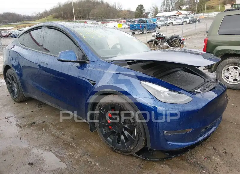 2024 Tesla Model Y фото
