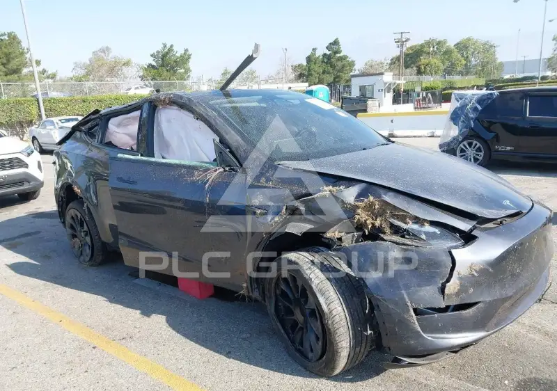 2024 Tesla Model Y фото