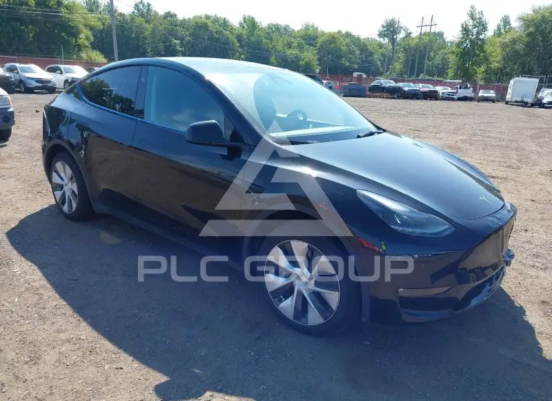 2024 Tesla Model Y photo