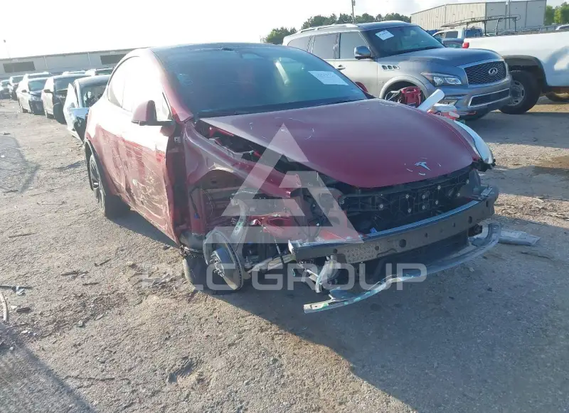2024 Tesla Model Y фото