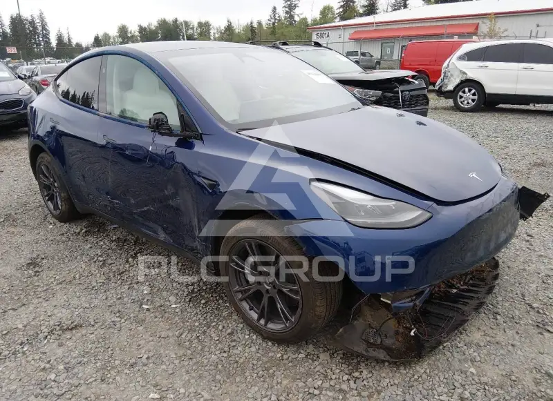 2024 Tesla Model Y фото