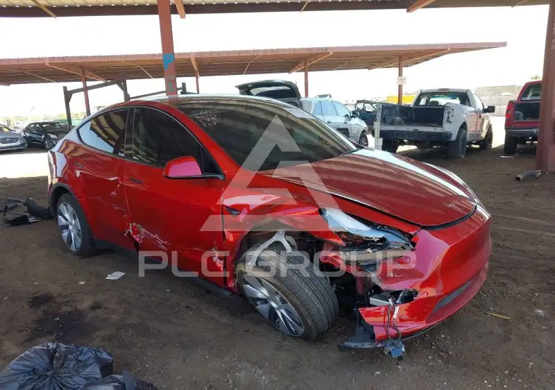 2024 Tesla Model Y фото