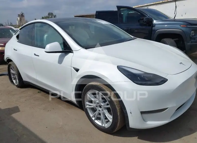 2024 Tesla Model Y photo