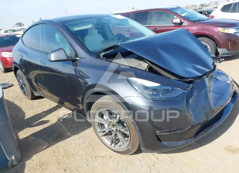2024 Tesla Model Y фото