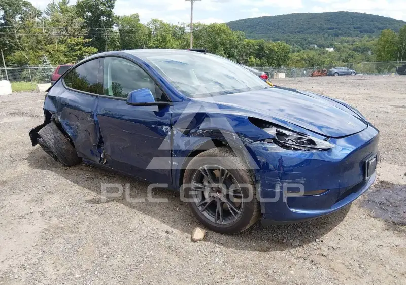 2024 Tesla Model Y фото