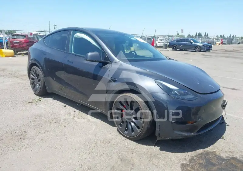 2024 Tesla Model Y photo