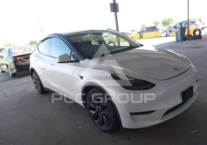 2024 Tesla Model Y фото