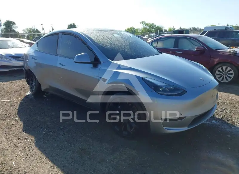 2024 Tesla Model Y photo