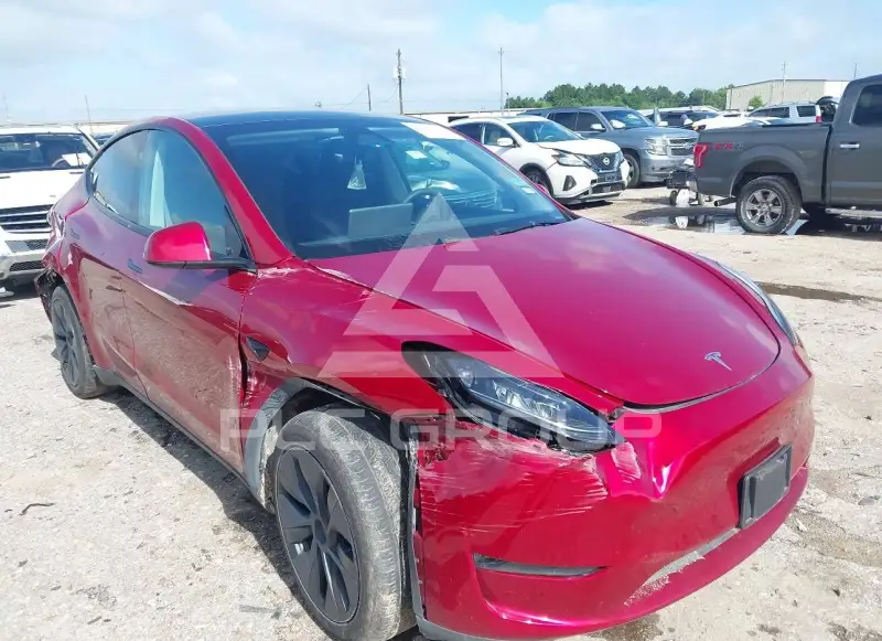 2024 Tesla Model Y photo