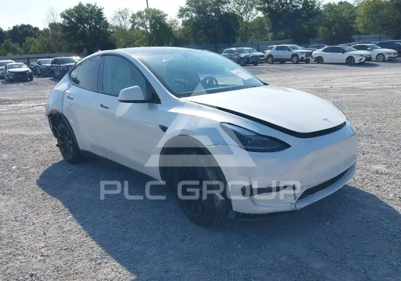2024 Tesla Model Y photo