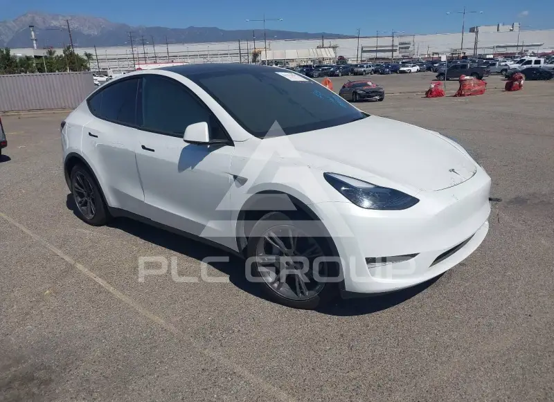 2024 Tesla Model Y photo
