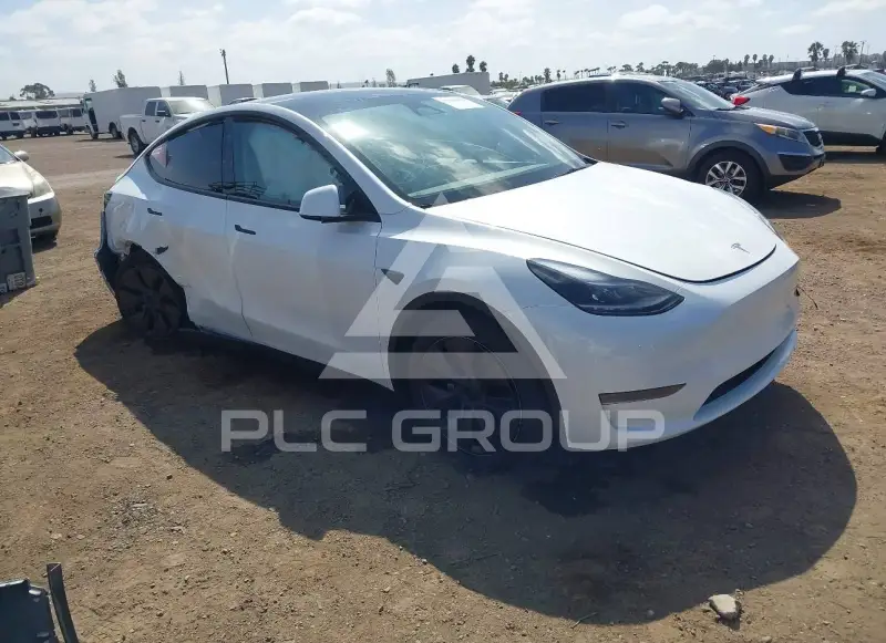 2024 Tesla Model Y photo