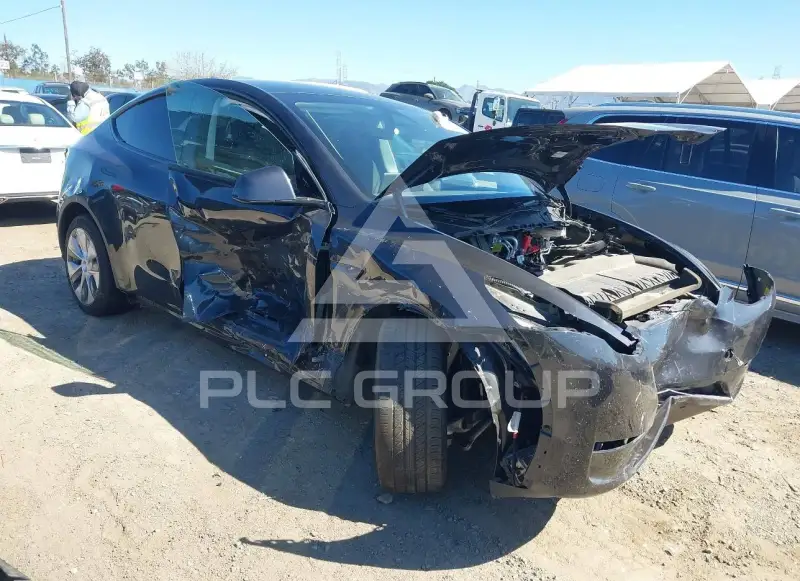 2024 Tesla Model Y photo