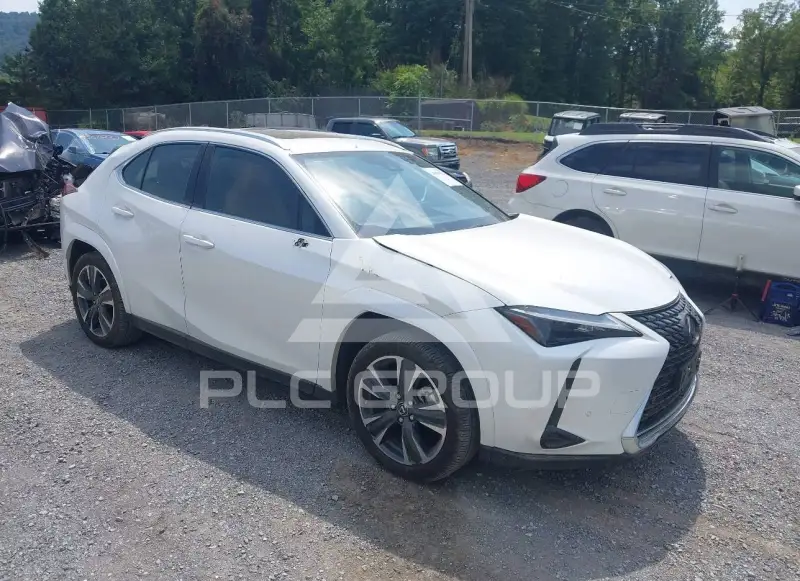 2024 Lexus UX250 photo