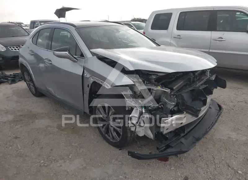 2024 Lexus UX250 photo