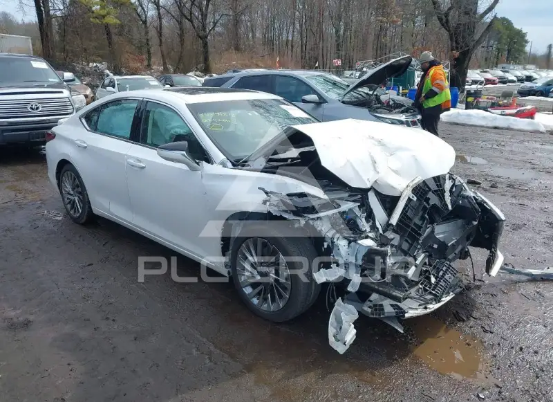 2024 Lexus ES300 photo