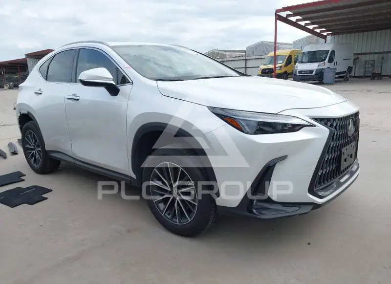 2024 Lexus NX250 фото