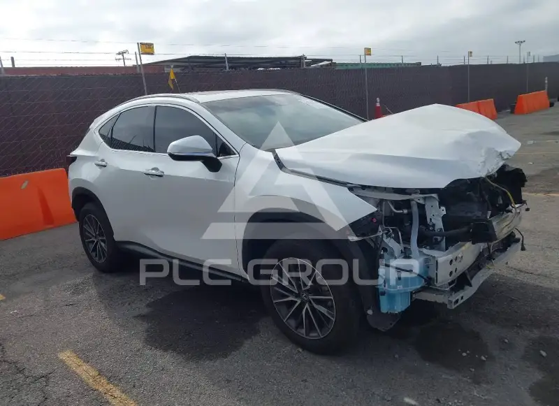 2024 Lexus NX250 фото