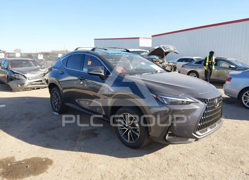 2024 Lexus NX250 photo