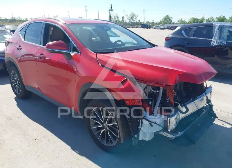 2024 Lexus NX250 фото
