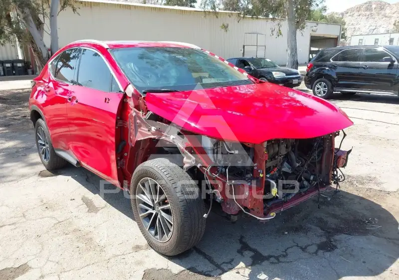 2024 Lexus NX250 фото