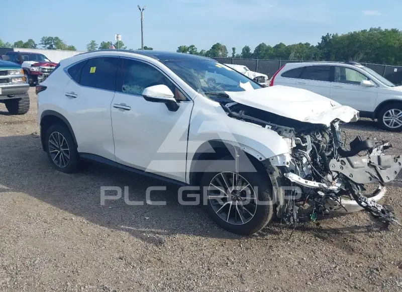 2024 Lexus NX250 photo