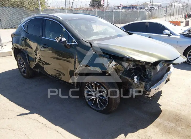 2024 Lexus NX250 фото