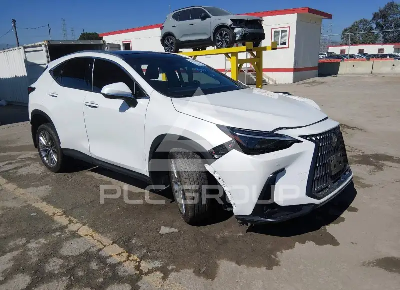 2024 Lexus NX250 фото